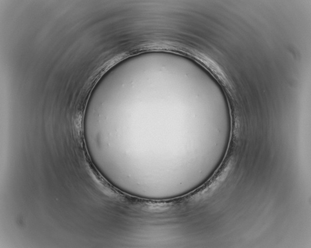 X0000114490849200911091047
