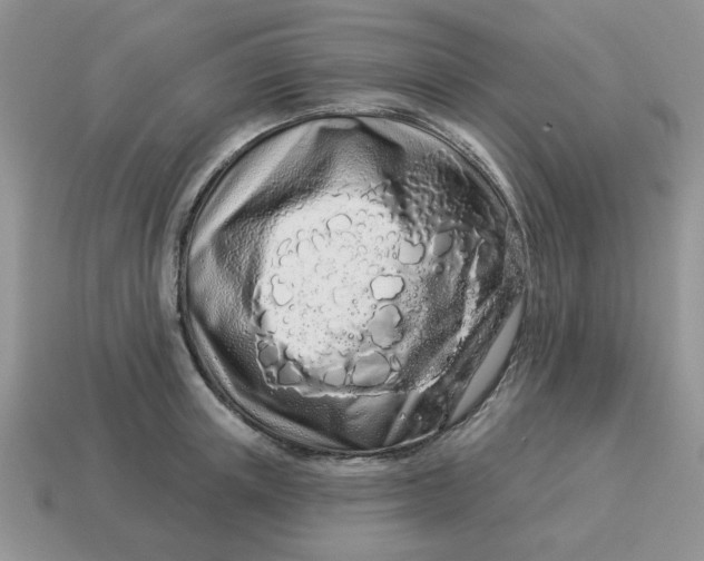 X0000114490851200911091047