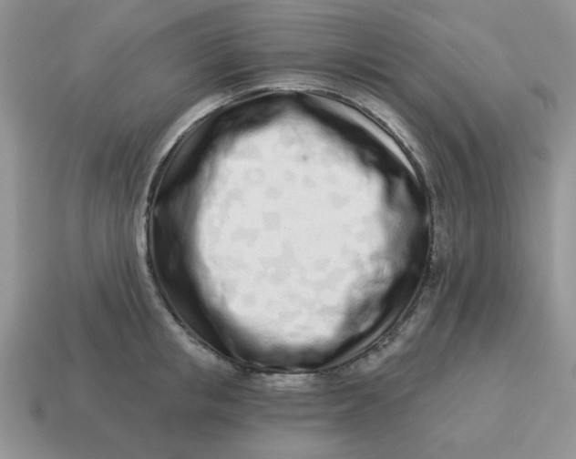 X0000114490853200911091047