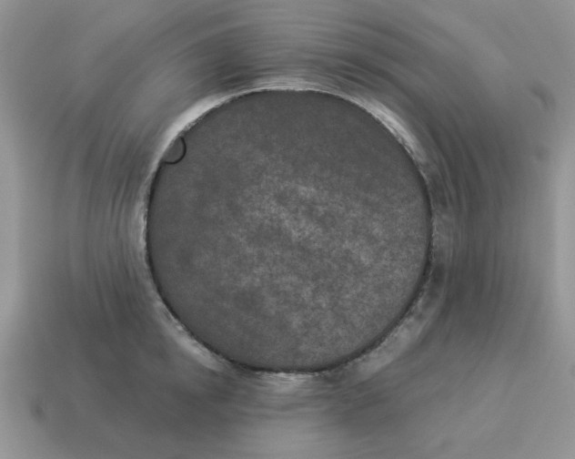 X0000114490854200911091047