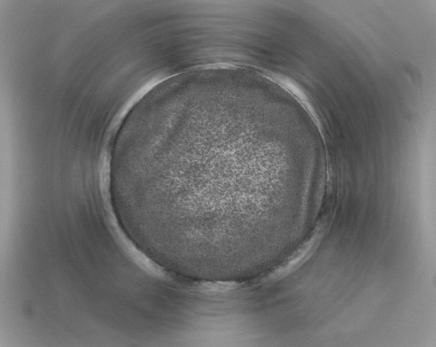 X0000114490859200911091047