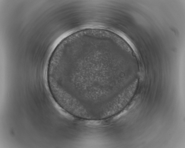 X0000114490861200911091047