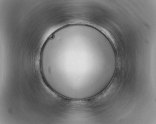 X0000114490863200911091047