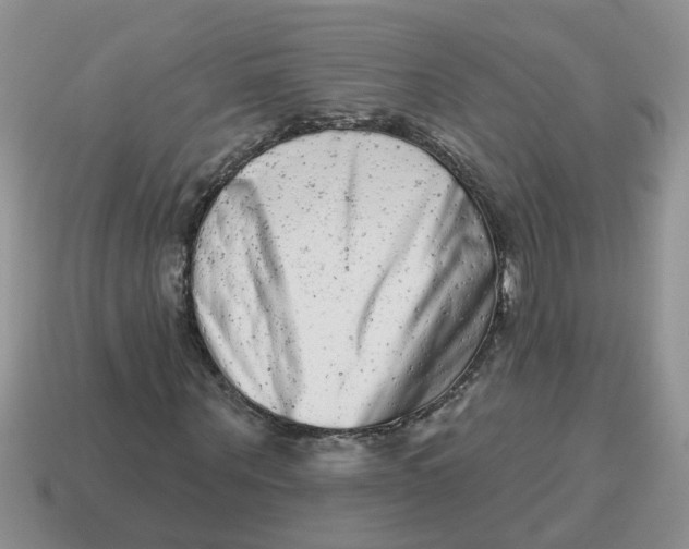 X0000114490867200911091046