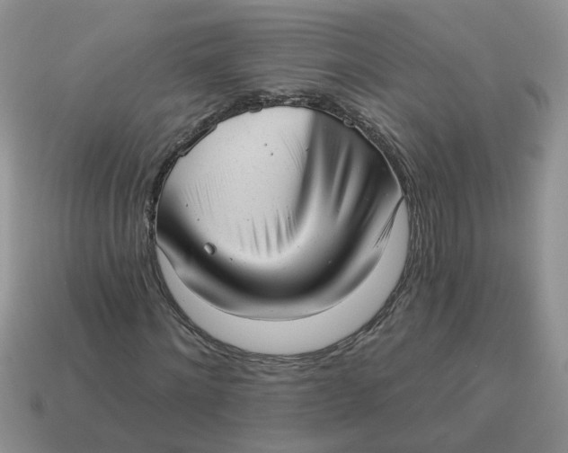 X0000114490868200911091046