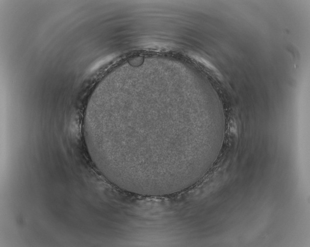 X0000114490869200911091046