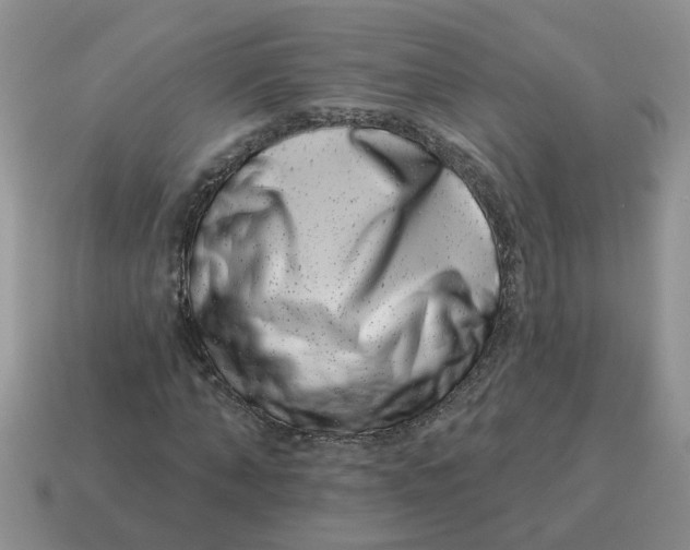 X0000114490870200911091046