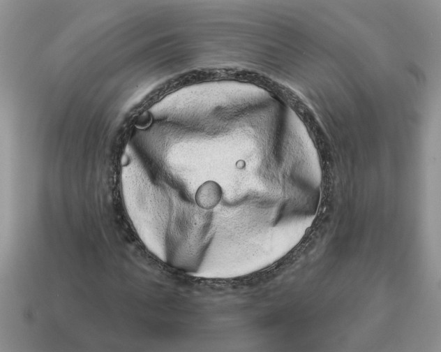 X0000114490871200911091046