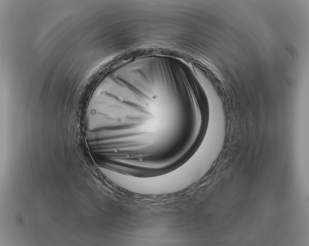 X0000114490872200911091046