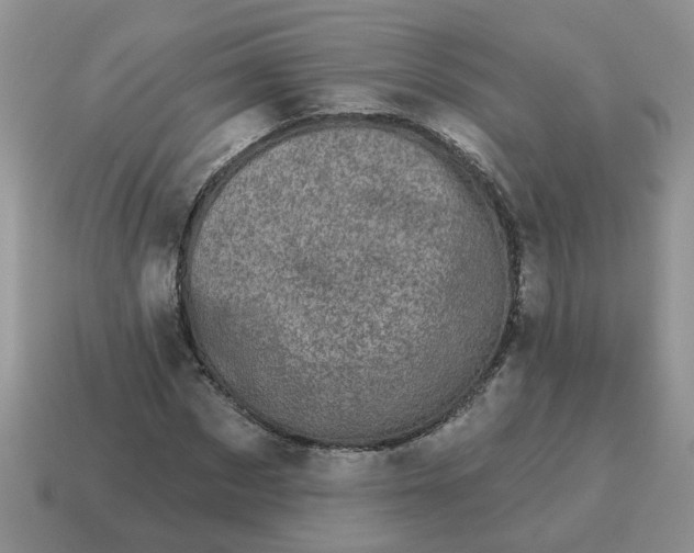 X0000114490873200911091046