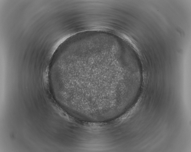 X0000114490875200911091046