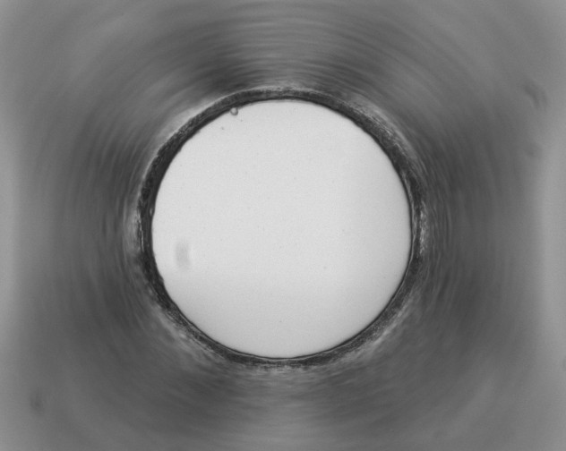 X0000114490876200911091046