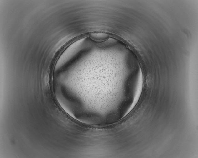 X0000114490877200911091046