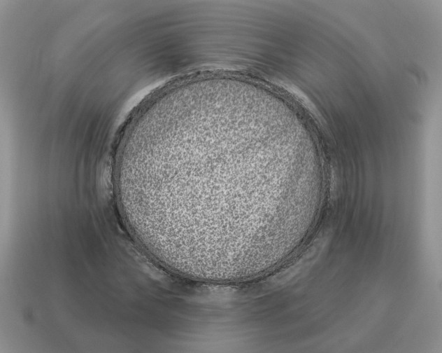 X0000114490878200911091046