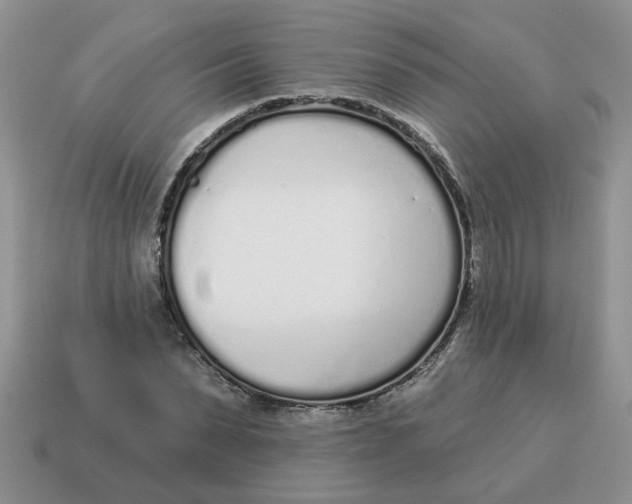 X0000114490879200911091046