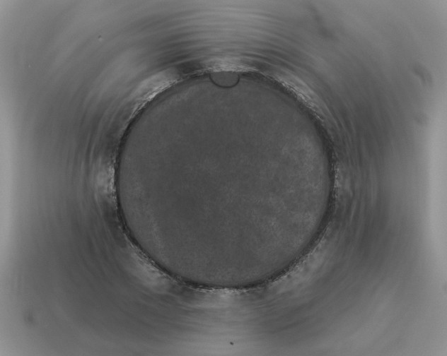 X0000114490881200911091046