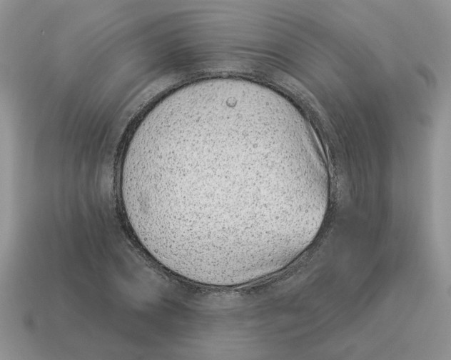 X0000114490882200911091046