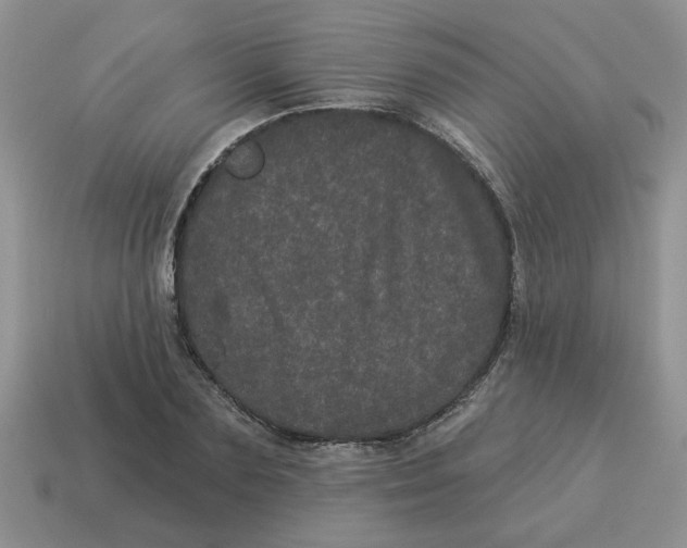 X0000114490883200911091046