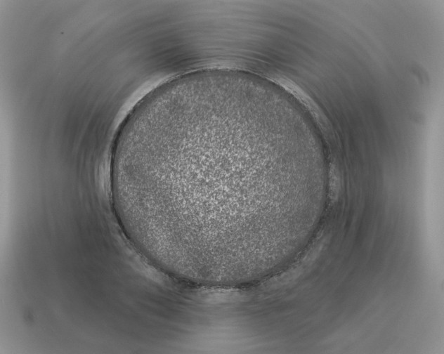 X0000114490886200911091046