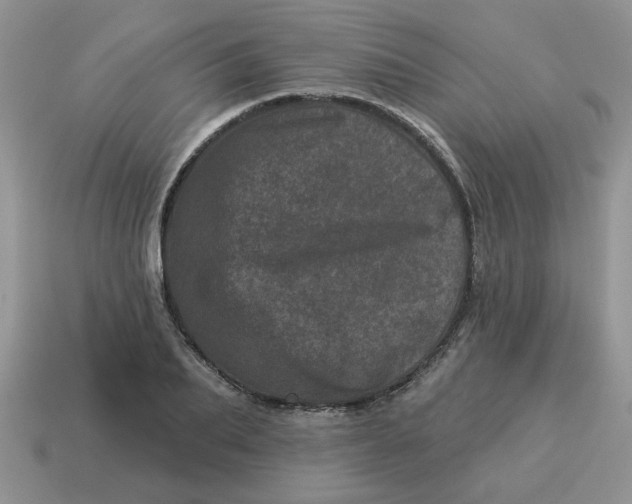 X0000114490887200911091046