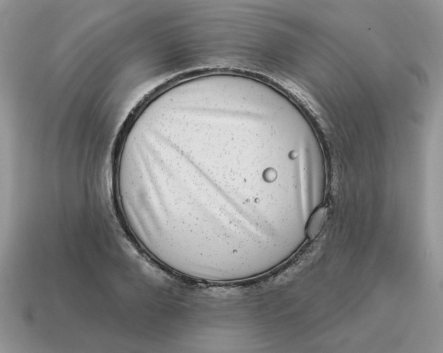 X0000114490888200911091046