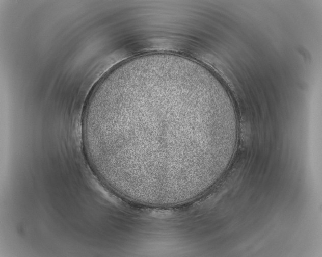 X0000114490890200911091046