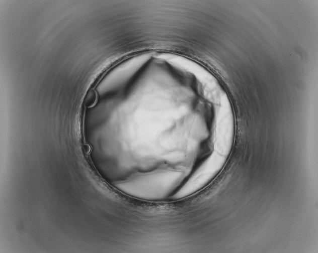 X0000114490891200911091046