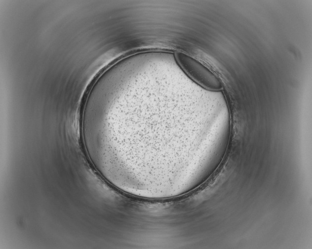 X0000114490892200911091046