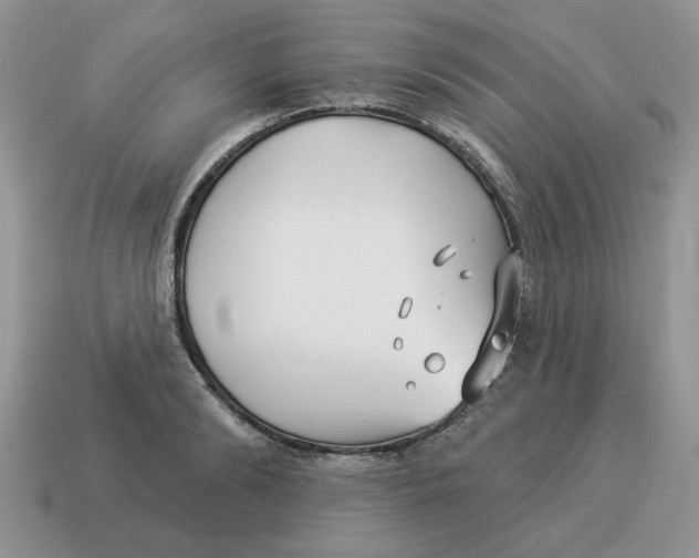 X0000114490894200911091046