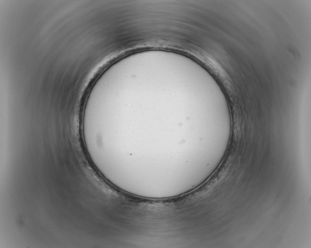 X0000114490896200911091046