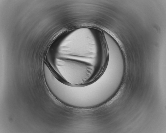 X0000114490897200911091046