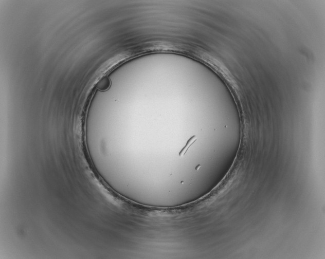 X0000114490898200911091046