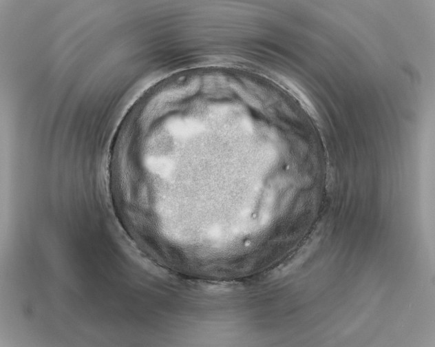 X0000114490899200911091046