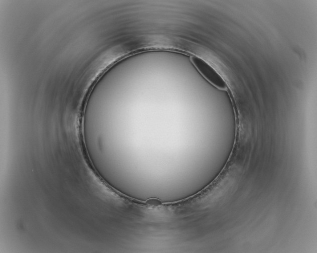 X0000114490901200911091046