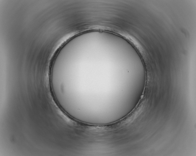 X0000114490902200911091046