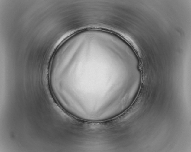 X0000114490903200911091046