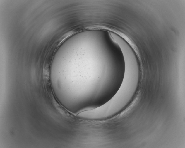 X0000114490905200911091046