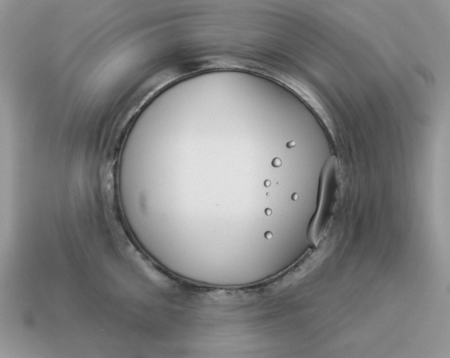 X0000114490906200911091046