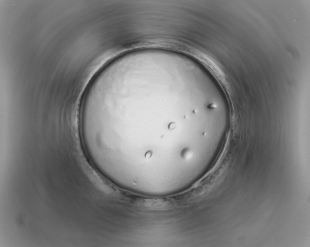 X0000114490907200911091046