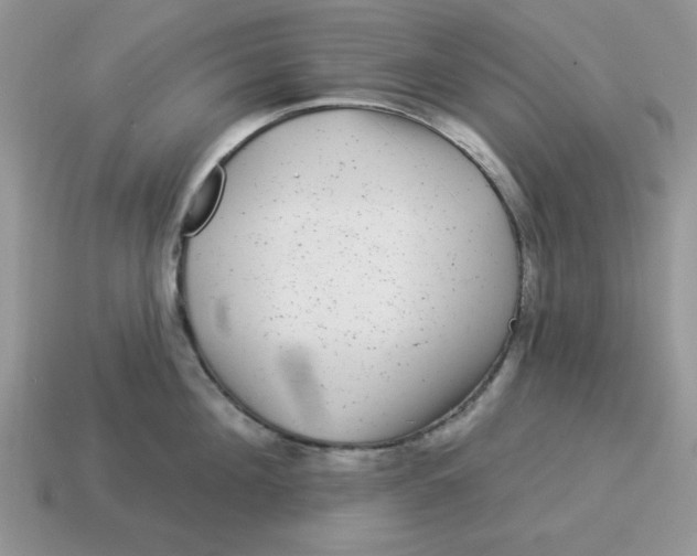 X0000114490908200911091046