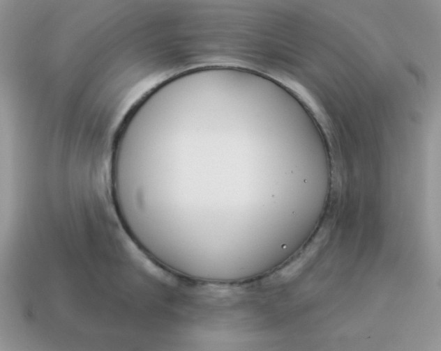 X0000114490910200911091046