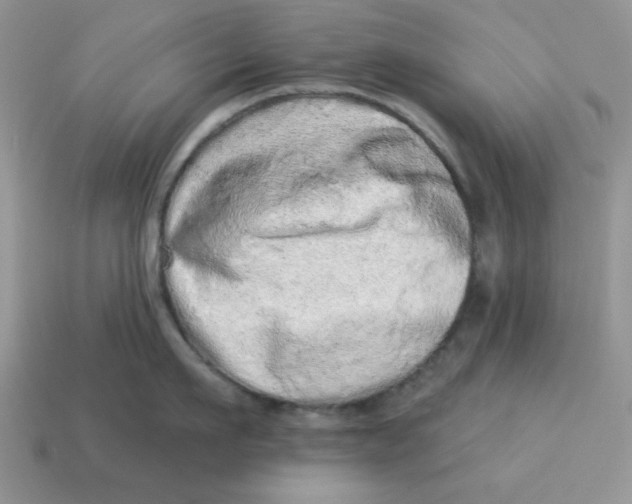 X0000114490911200911091046