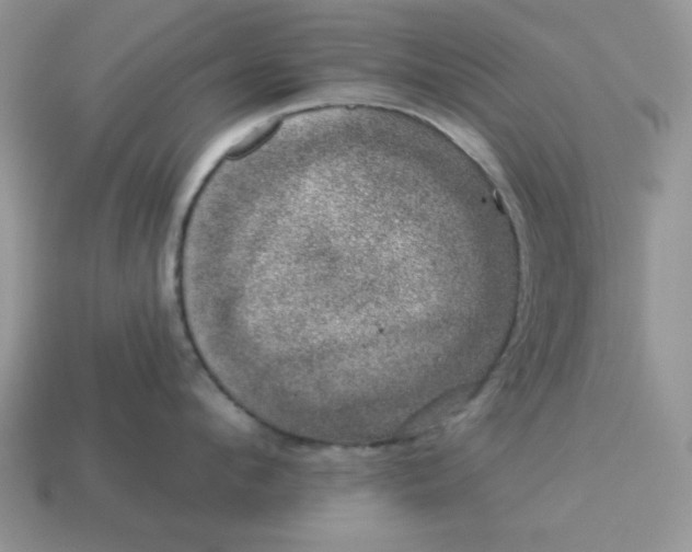 X0000114490912200911091046