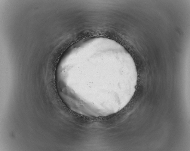 X0000114490913200911091045
