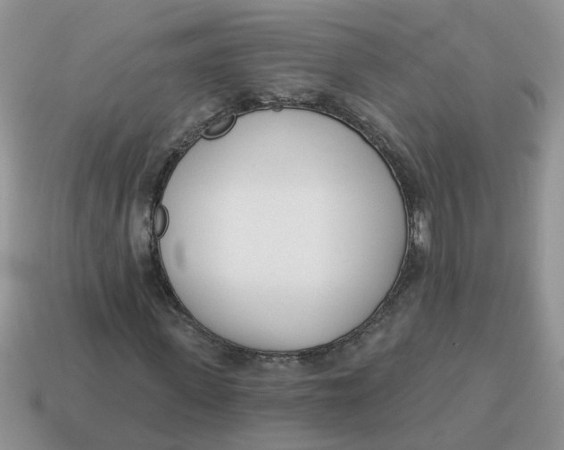 X0000114490915200911091045