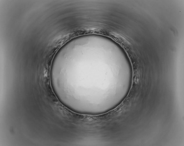X0000114490917200911091045