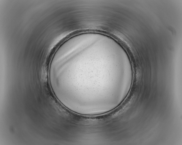 X0000114490925200911091045