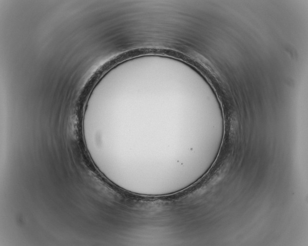 X0000114490926200911091045
