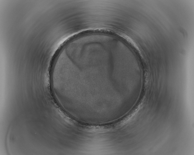X0000114490927200911091045