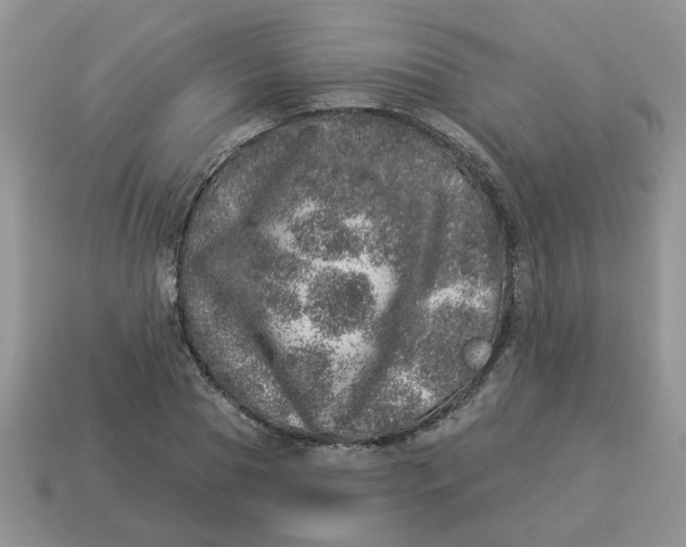 X0000114490929200911091045